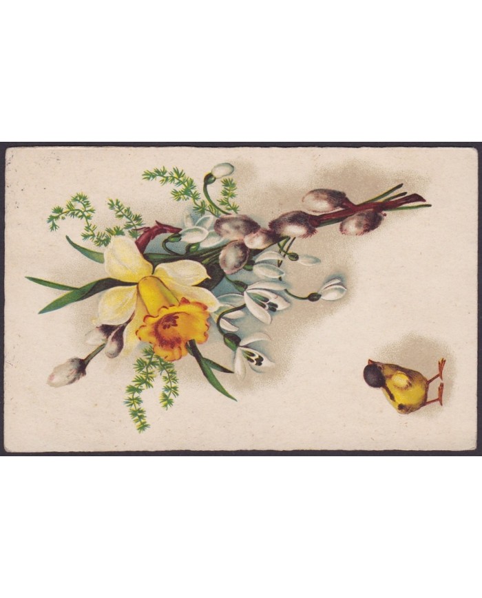 F-EX3020 RUSIA RUSSIA LITUANIA LITHUANIA LIETUVA. POSTCARD.