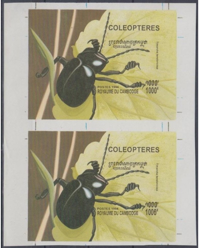 F-EX3158 LAOS MNH SPECIAL SHEET PROOF PAIR COLEOPTERES INSECTS 1994 IMPERFORATED.