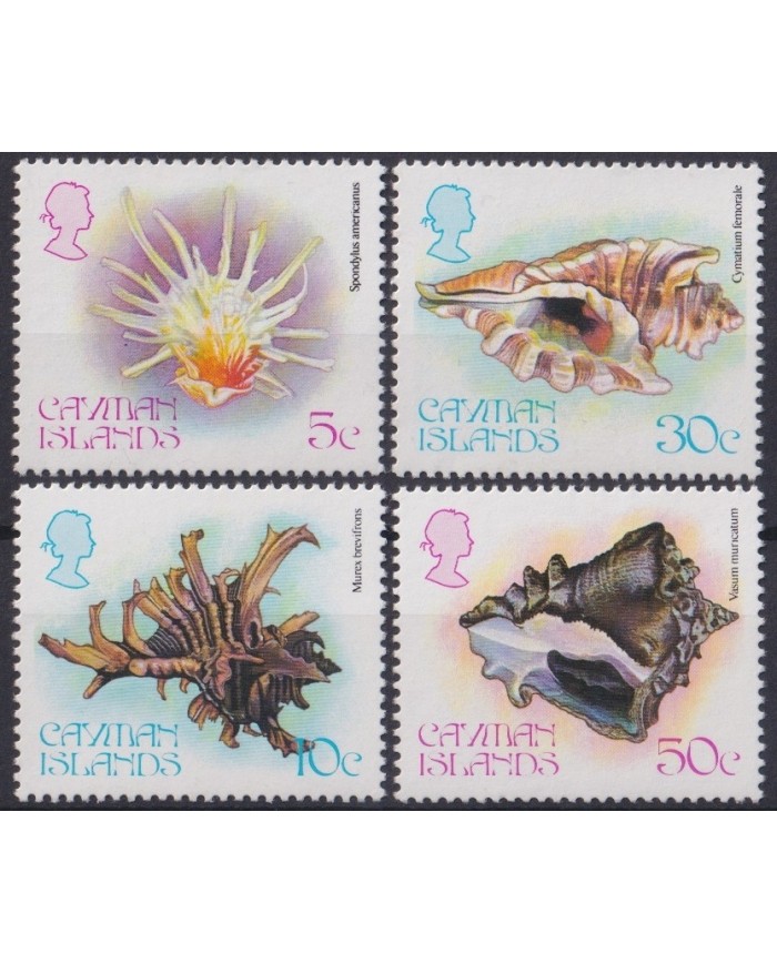 F-EX19925 CAYMAN Is MNH SEA MARINE LIFE WILDLIFE SHELL SNAIL.