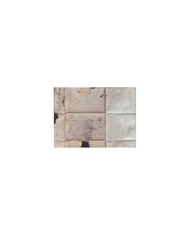 F-EX19123 SPAIN 1800 DESINFECTED CATALUÑA TO JATIVA 2 CUT + IMMERATION IN VINEGAR.