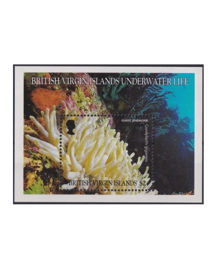 F-EX19807 BRITISH VIRGIN IS. MNH UNDERWATER LIFE MARINE SEA GIGANT ANEMONES.