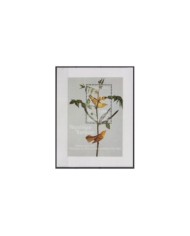 F-EX20301 VIETNAM MNH 1985 AUDUBON BIRD AVES PAJAROS