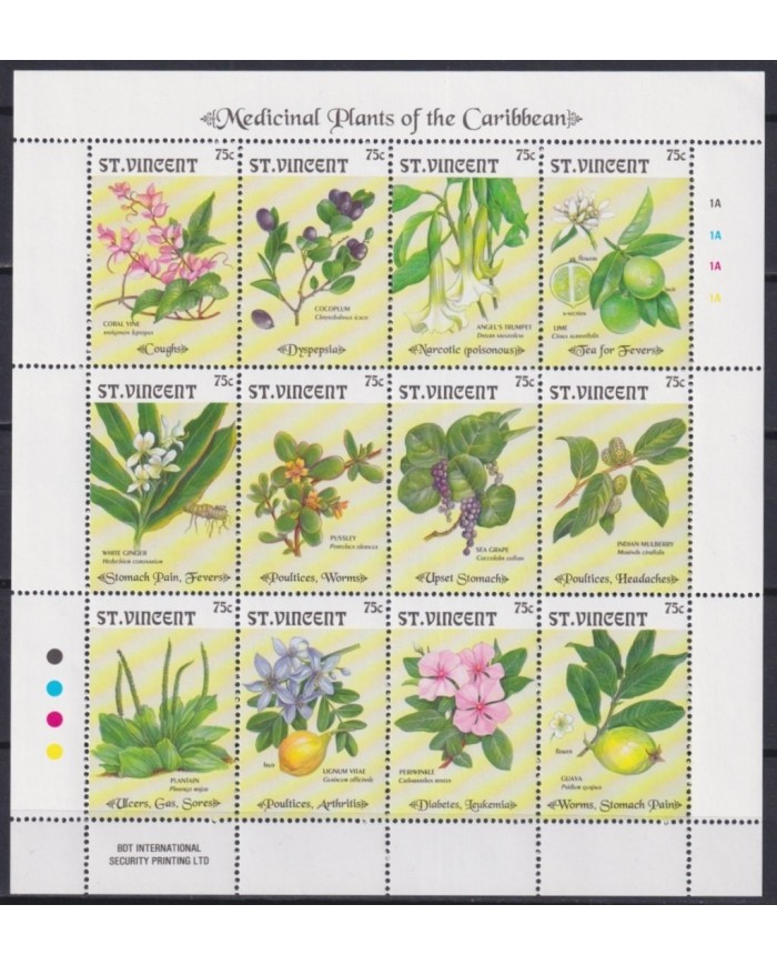 F-EX21492 ST VINCENT MNH FLOWER ORCHILD FRUIT ROSE FLORES