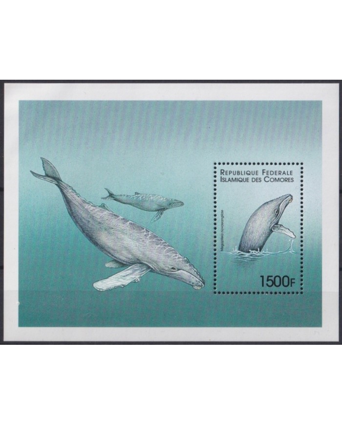 F-EX21825 COMORES COMOROS MNH FAUNA SEA MARINE WILDLIFE FISH WHALE SHEET