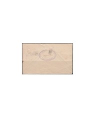 F-EX3843 ECUADOR S.XIX POSTAL STARIONERY USED.
