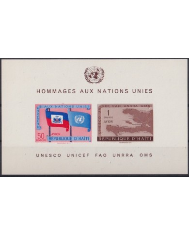 F-EX22754 HAITI 1958 MNH UNITED NATIONS MAP & FLAG.