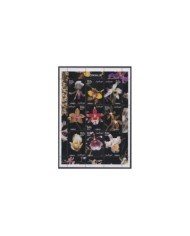 F-EX23831 POLAND POLSKA MNH FLOWER FLORES SHEET.