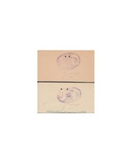 F-EX14617 INDIA FEUDATARY LOCAL STATE REVENUE. JAIPUR 11 DIFFERENT SEALLED PAPER