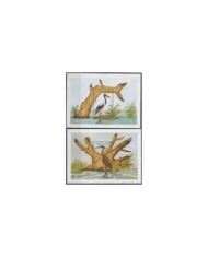 F-EX25361 BENIN MNH 1989 WWF WILDLIFE ENVIRONMENT BIRD AVES PAJAROS.