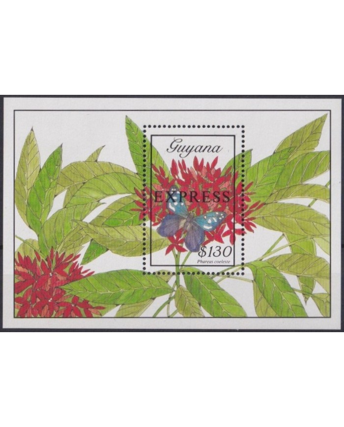 F-EX25600 GUYANA MNH 1990 FLOWER FLORES EXPRESS SURCHARGE.