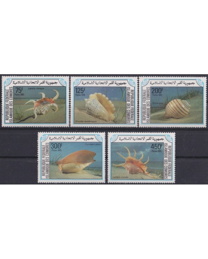 F-EX26122 COMORES COMOROS MNH 1985 SEA MARINE WILDLIFE REEF SHELL SNAIL.