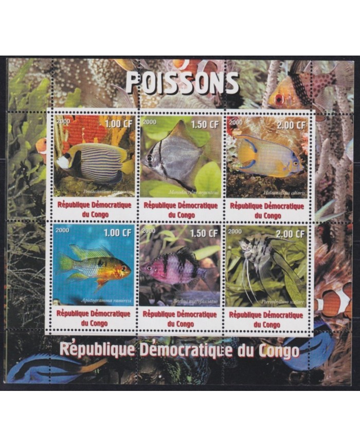 F-EX26172 CONGO MNH 2002 WILDLIFE SEA MARINE CORAL REEF FISH PECES.