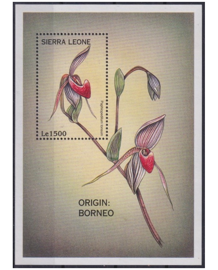 F-EX26510 SIERRA LEONE MNH 1997 FLOWER FLORES ORCHILD.