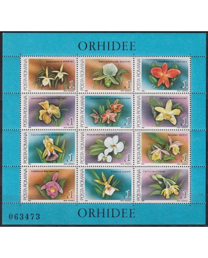 F-EX26536 RUMANIA MNH 1988 ORCHILD FLOWER FLORES.