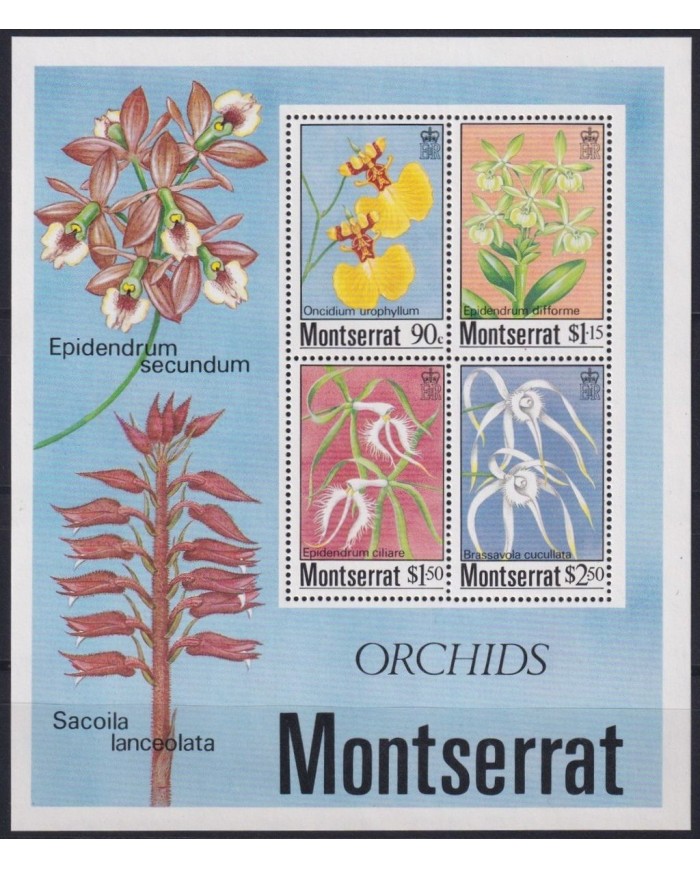 F-EX26537 MONTSERRAT IS MNH 1988 ORCHILD FLOWER FLORES.