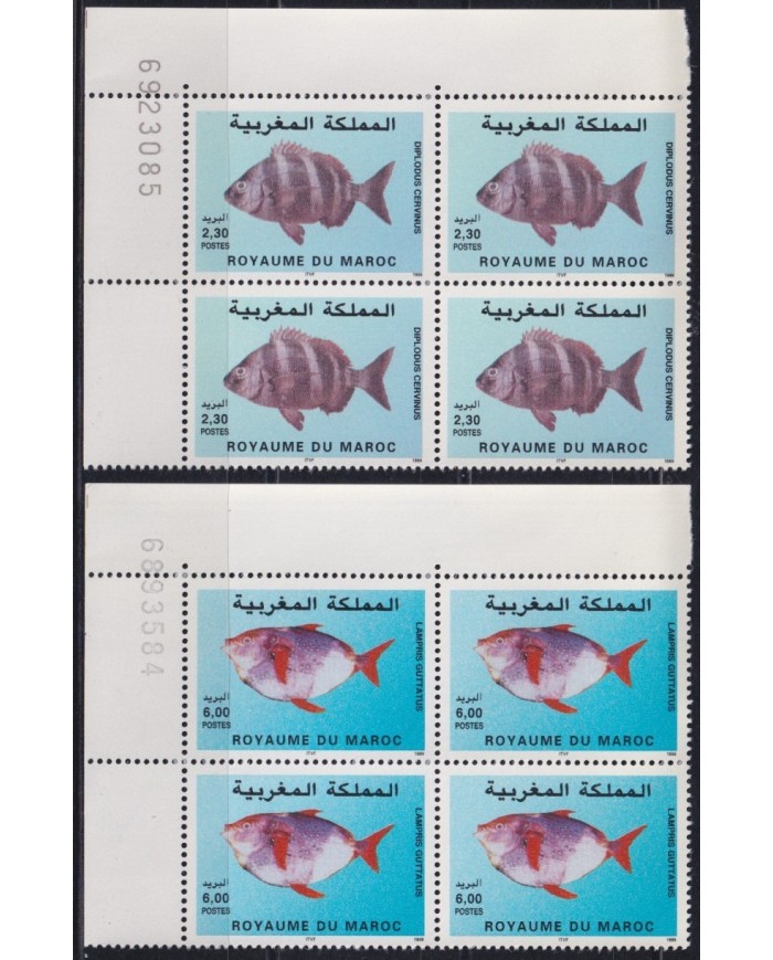 F-EX26610 MAROC MOROCCO MNH 1999 SEA MARINE WILDLIFE SEALS FISH PECES REEF.