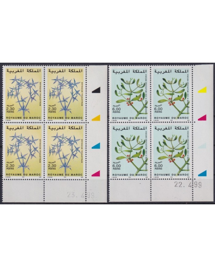 F-EX26611 MOROCCO MAROC MNH 1999 FLOWER FLORES BLOCK 4.