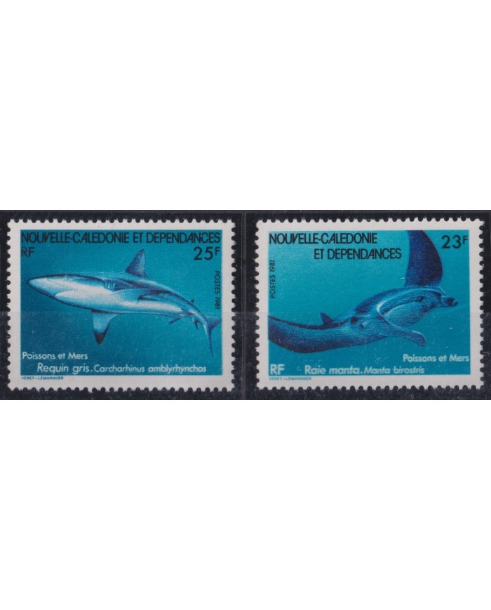 F-EX27322 NEW CALEDONIE IS 1981 MNH SEA MARINE WILDLIFE REEF CORAL FISH SHARK.
