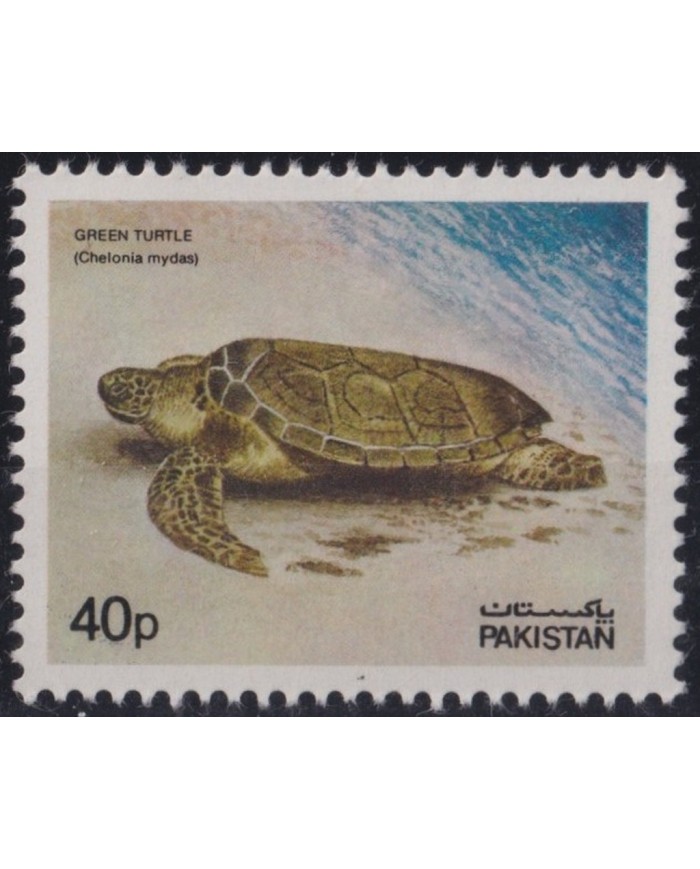 F-EX27323 PAKISTAN 1981 MNH MARINE WILDLIFE REEF TURTLE TORTUGA.