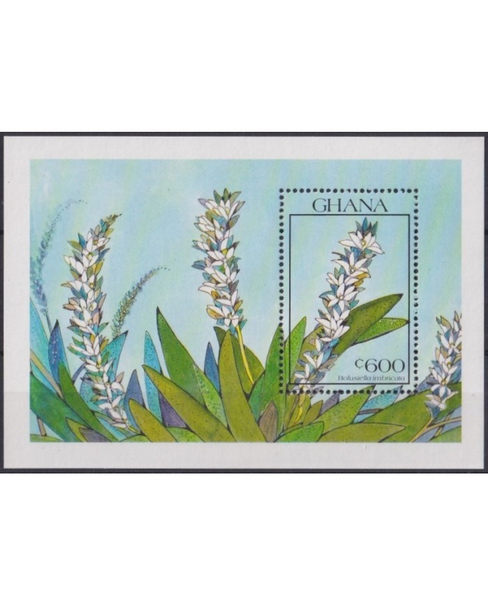 F-EX27698 GHANA MNH 19910 FLOWER FLORES BOLUCIELLA IMBRICATA.