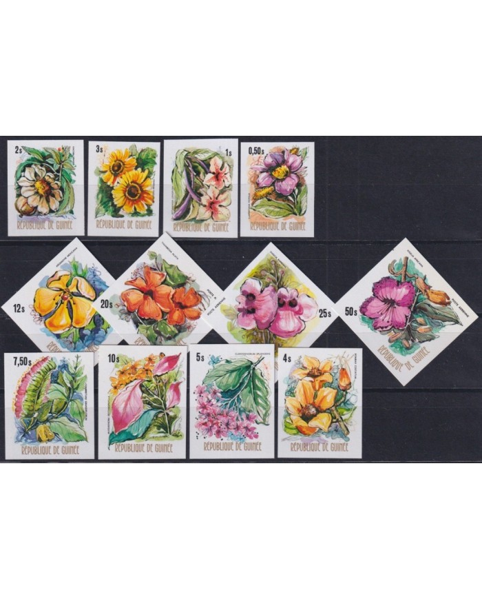 F-EX28073 GUINEA GUINEE MNH 1974 IMPERFORATED FLOWER FLORES.