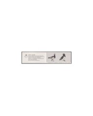 F-EX30613 NORWAY NORGE NOREG MNH 1983 BOOKLED AVES PAJAROS OISEAUX BIRD VÖGEL.