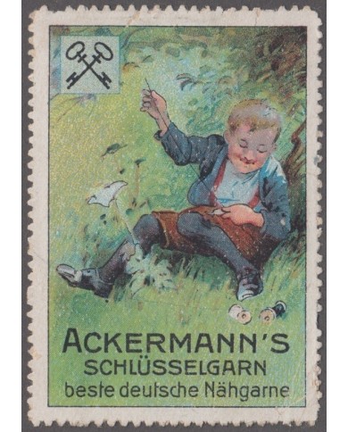 F-EX8966 ALEMANIA GERMANY DEUTSCHLAND CINDERELLA NADELN STAMP 35x50mm. NO GUM.