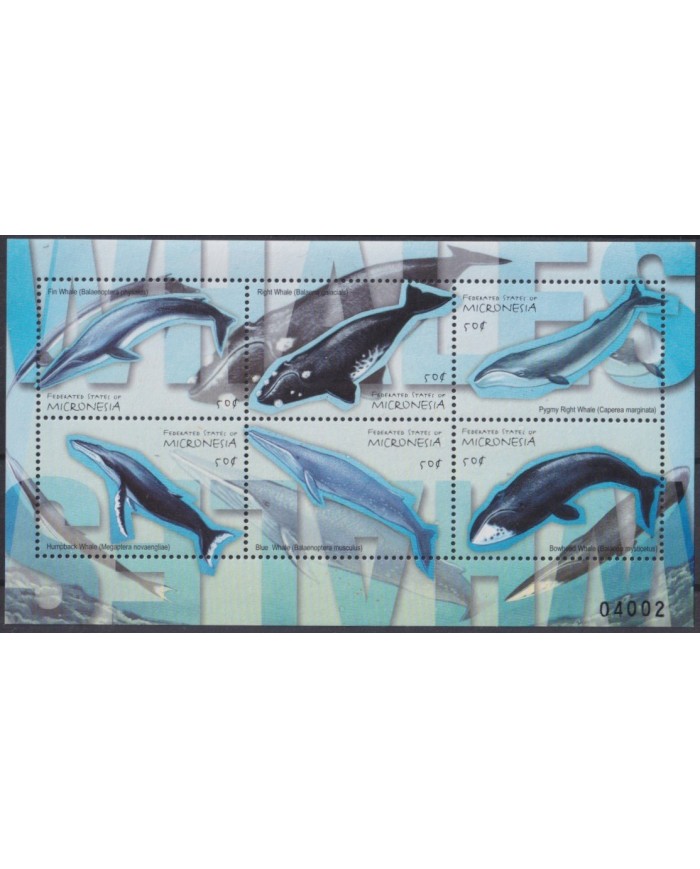 F-EX33334 MICRONESIA MNH 2001FAUNA SEA MARINE WILDLIFE FISH WHALE ORCA.