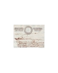 E1166 MEXICO 1839. DOC MEDICO DE HOMICIDIO CON DESCRIPCIÃN DE LAS HERIDAS