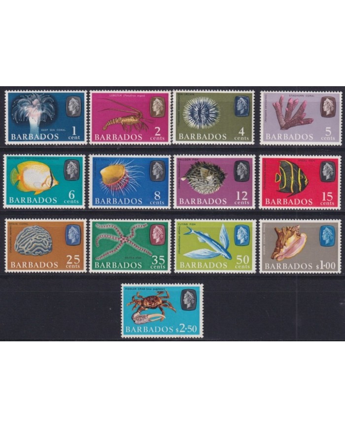 F-EX34013 BARBADOS MNH 1965 (MISSING 3c) SEA MARINE REEF WILDLIFE FISH PECES SHELL.