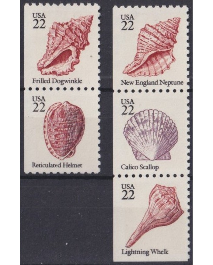 F-EX34365 USA US MNH MARINE WILDLIFE FISH PECES SEASHELL SHELL CONCH SNAIL.