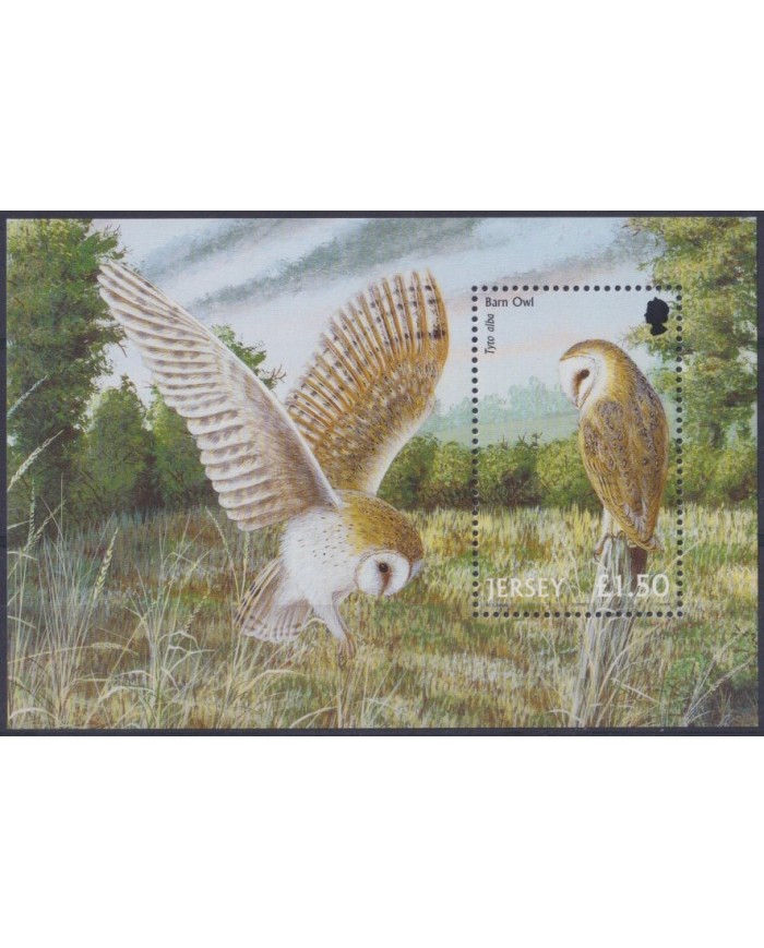 F-EX35389 JERSEY UK ENGLAND MNH 2001 WILDLIFE AVES BIRD PAJAROS OWLS.