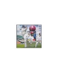 F-EX28027 SAO TOME I PRINCIPE MNH 2004 CRICKET GAMER.