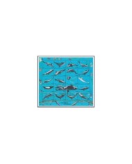 F-EX29105 NEW ZEALAND MNH 1991 WWF SPECIAL SHEET WILDLIFE HECTOR DOLPHINS FISH.