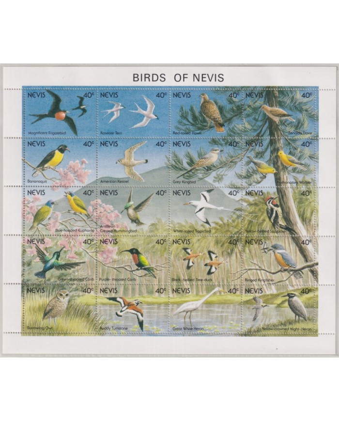 F-EX29104 NEVIS MNH 1991 WWF SPECIAL SHEET WILDLIFE BIRD AVES PAJAROS OISEAUX.