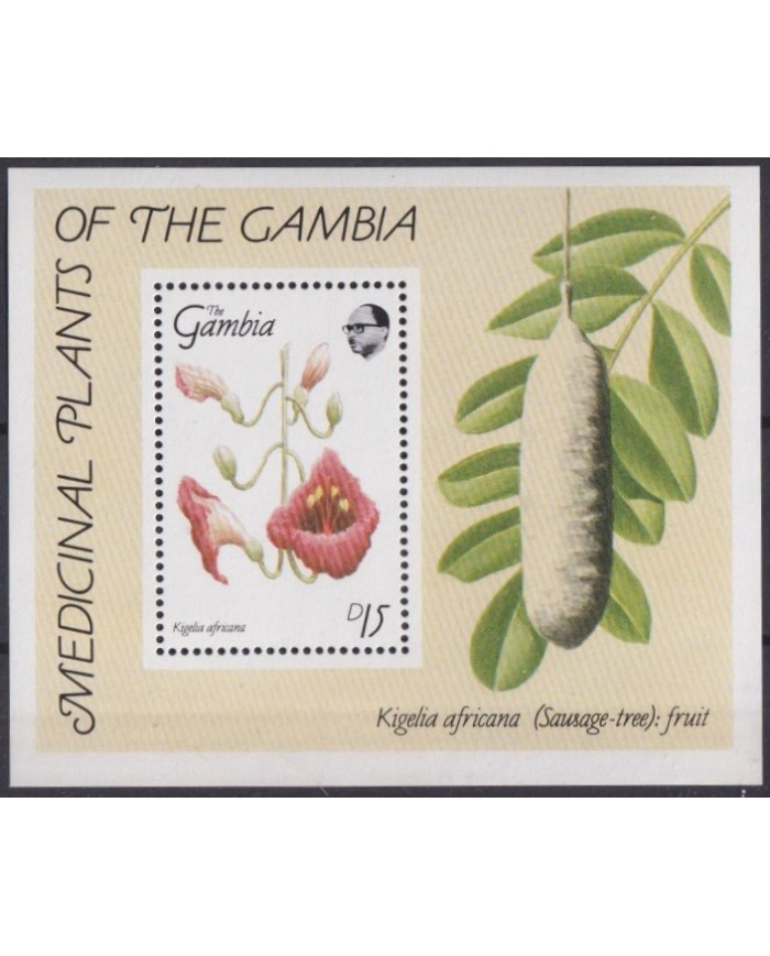 F-EX39899 GAMBIA MNH 1992 MEDICINAL PLANTS FLOWER FLORES.