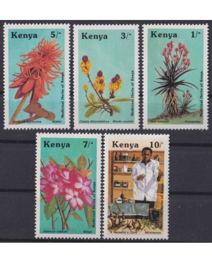 F-EX39929 KENYA MNH 2014 MEDICAL HERBS FLOWER FLORES ORCHILD ORQUIDEAS.