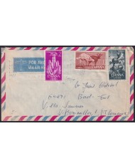 F-EX40969 SPAIN SAHARA 1962 TO GERMANY CACTUS FLOWER.