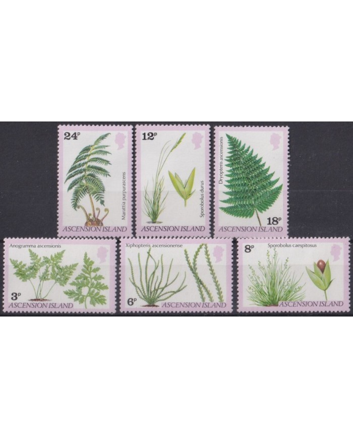F-EX40765 ASCENSION MNH 1980 FLORA FLOWER FLORES .
