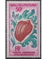 F-EX40915 WALLIS ET FUTUNA MNH 1962 MARINE WILDLIFE REEF CORAL SHELL SNAIL.