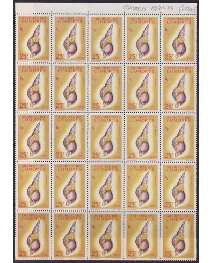 F-EX40426 COMORES MNH 1962 SNAIL SHELL BLOCK 25 (NO COMPLETE) HIGHT VALUE.