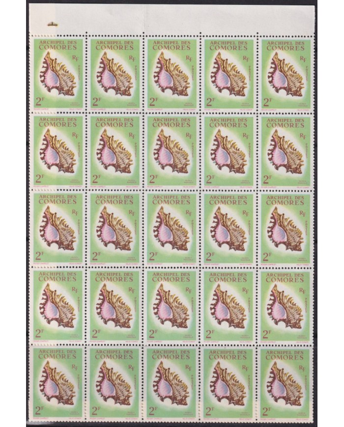F-EX40426 COMORES MNH 1962 SNAIL SHELL BLOCK 25 (NO COMPLETE) HIGHT VALUE.