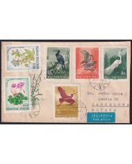 F-EX41274 HUNGARY 1959 FDC COVER TO SPAIN BIRD AVES PAJAROS.