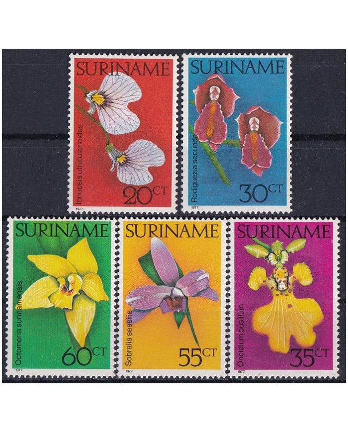 F-EX43042 SURINAME MNH 1977 FLOWER FLORES.