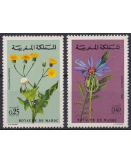 F-EX43615 MOROCCO MAROC MARRUECOS MNH BOTANICAL FLOWER FLORES.