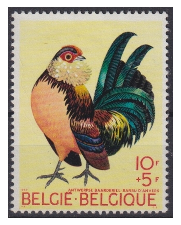 F-EX44631 BELGIUM BELGIQUE MNH 1969 ROOSTER CHICKEN BEARDEN BIRD AVES PAJAROS.