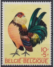 F-EX44631 BELGIUM BELGIQUE MNH 1969 ROOSTER CHICKEN BEARDEN BIRD AVES PAJAROS.
