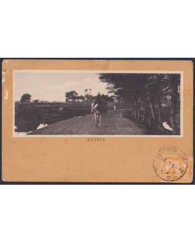 F-EX45331 EGYPT 1916 POSTCARD EL CAIRO CAMELS TO SPAIN.