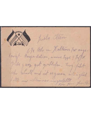 F-EX45901 GERMANY WWI ILLUSTRATED FELDPOST EAGLE CANCEL 191? HALTERN INMOBILE.