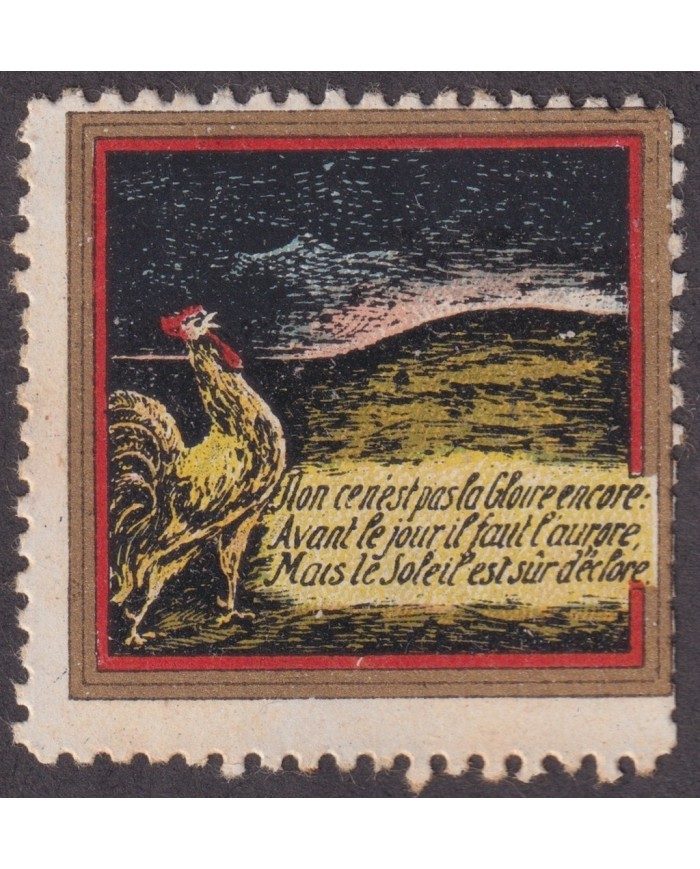 F-EX17462 ITALY ITALIA CINDERELLA CIRCA 1915 ROOSTER BIRD NO GUM 33mm.